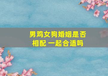 男鸡女狗婚姻是否相配 一起合适吗